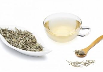 Kenali Teh Putih, Bisa Tangkal Radikal Bebas dan Cegah Penuaan Dini