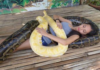 7 Foto Dengan Gambar Ular Unik, Apakah Kamu Berani Melihatnya? Hahaha....