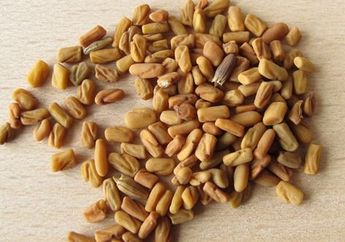 Awas Bahaya! Telan 'Biji' Ini Sebelum Tidur, Suami Kamu Bisa 'Senggol Bacok'