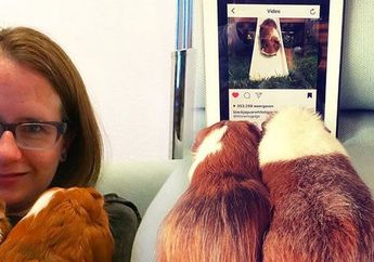 Binatang ini Punya Akun Instagram Sendiri dan punya Banyak Followers! Kok Bisa?