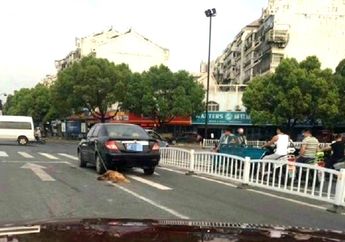 Bikin Netizen Marah, Anjing Ini Terseret Mobil Pemiliknya Tanpa Sengaja