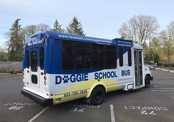 Lihat, Anjing Ini Aja Bersemangat Pergi ke Sekolah, masa Kamu enggak? Malu dong sama Anjing! 