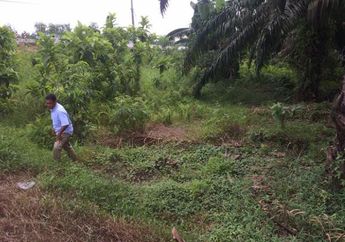 Pria Ini Temukan Plastik yang Bergerak Di Semak, Ternyata Ini Isinya.