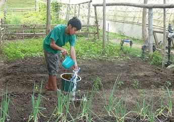 Membanggakan! Anak Petani Ini Diterima Di Universitas Harvard, Dampaknya Luar Biasa