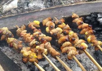 Makanan Ektrim Ini Terbuat Dari Binatang Yang Bikin Kamu Geli Ternyata Begini Manfaatnya