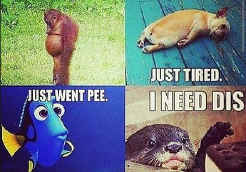 Kompilasi Meme Mommy Hamil, Ngakak Abis!