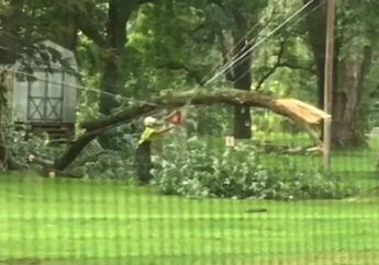 Ngeri! Seorang Pria Memotong Pohon yang Tersangkut Kabel Listrik, Namun Tiba-tiba Dia Mengalami Hal Ini!
