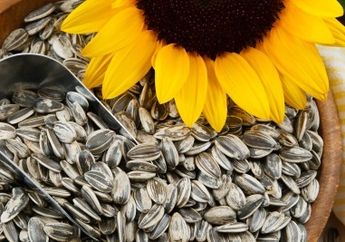 Emang sih Paling Rempong Kalau Buka Kuaci, Tapi Manfaatnya Bikin Nagih loh