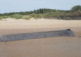 Wow, Ada Monster Laut Raksasa Terdampar, Pengunjung Bingung dengan Penampakannya