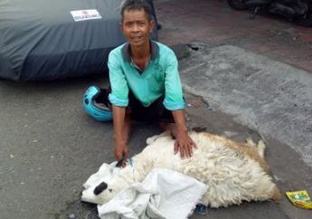 Niatnya Menjual Kambing Untuk Idul Adha, Nasib Malang Malah Menimpa Bapak Ini