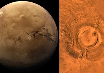 Para Astronom Akhirnya Temukan 'Laba-Laba' di Mars, Apakah Ini Pertanda Baik Bagi Kelanjutan Penelitian?