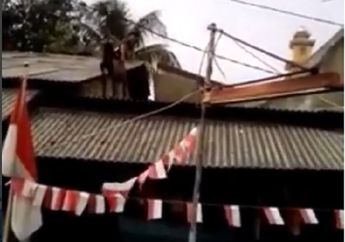 Kambing Qurban Ini Tidak Mau Turun,Mungkin Takut Disembelih