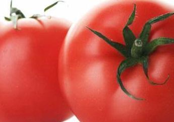 Ini Dia 5 Sayuran yang Bisa Ampuh Turunkan Kolestrol Setelah Pesta Daging!