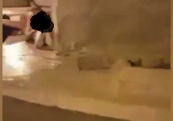 Berkendara Dengan Mobil Pada Malam Hari, yang Ditemukan Pria Ini Di Jalanan Sangat Mengejutkan!