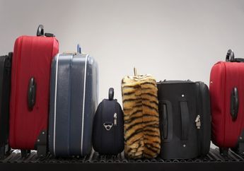 8 Tips Agar Bagasi Aman Dari Porter Bandara, Lakukan Sebelum Menyesal