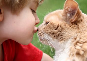 Waspada, Bakteri Berbahaya Ada di Mulut dan Cakar Kucing, Bisa Bikin Pembengkakan Otak dan Infeksi Jantung Mematikan, yang Sering Bersentuhan Wajib Hati-Hati