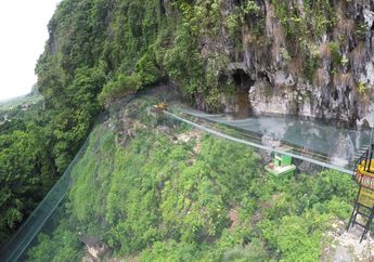 Akhirnya, Sanctuary Kupu-kupu dan Sky Bridge di Taman Nasional Bantimurung Diresmikan