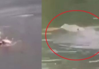 Semua Jasad Sudah Ditemukan, Terkuak Misteri Sehingga Supriyanto Ikut Jadi Korban Serangan Buaya