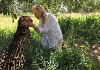 Hubungan Aneh dan Rumit Seorang Gadis Dengan Mengadopsi Seekor Cheetah, Ternyata Begini Lihat Videonya