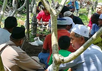 Mengharukan! Kucing Ini Tak Mau Tinggalkan Makam Pemiliknya! Lihat Videonya
