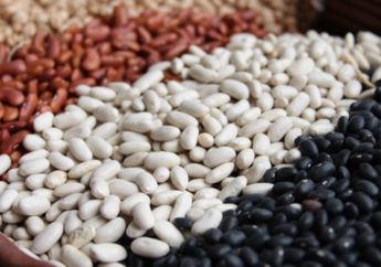 Ini Daftar Protein Terbaik Untuk Vegetarian, Apa Aja ya?