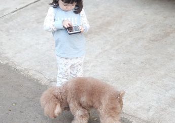 Akibat Digigit Kucing, Gempi Sekarang Shock