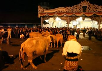 Keramat! Kisah Ritual Mistis yang Jarang Diketahui Umum di Malam 1 Suro Sebelum Mengarak Kebo Sakti di Solo