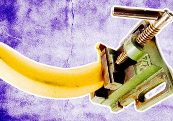 Begini Fakta Tentang Mr P yang Bisa &lsquo;Terjebak&rsquo; di Dalam Mrs V