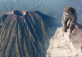 Gunung Agung Awas, Dari Kera Turun Gunung Sampai Bunyi Gamelan, Ini Dia Tanda-tanda Istana Dewata akan Erupsi