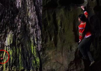 Tanpa Tali dan Pengaman, Wanita ini Memanjat Tebing-tebing Curam dengan Tangan dan Kaki Kosong, Penyebabnya Bikin Terenyuh