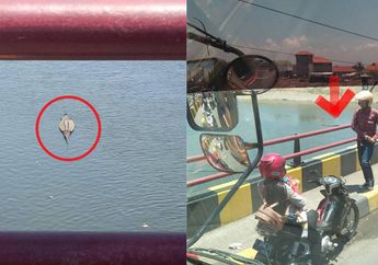 Heboh, Buaya yang Muncul di Sungai Porong Sidoarjo Berhasil Ditangkap Tim SAR, Begini Penampakannya!