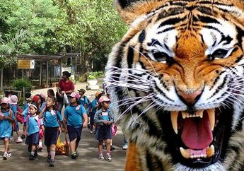 Anak Harimau Benggala Jatim Park 2 Kaget Saat Diajak Foto, Begini Akibatnya