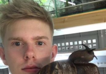 Wow, Ternyata Ini Penampakan Bekicot Terbesar Di Dunia, Lihat Videonya