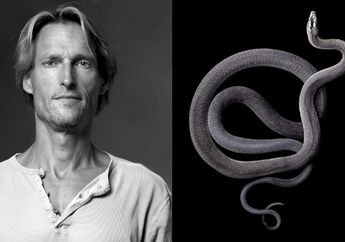 Fotografer Ini Digigit Ular Saat Melakukan Pemotretan Ular, Ternyata Ini Tujuannya Lihat Fotonya