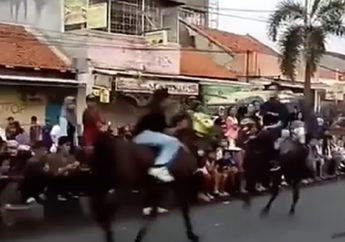 Tabrakan Antara Kuda Vs Kuda di Cirebon, Penunggang Kuda Terpental Hingga Seekor Kuda Kejang-Kejang Akibat Kejadian Itu