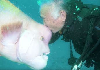Menyentuh! Kakek Ini Bersahabat dengan Ikan Berwajah Manusia Selama 30 Tahun, Ternyata Awalnya Karena Hal Ini Sampai Si Ikan Masih Ingat