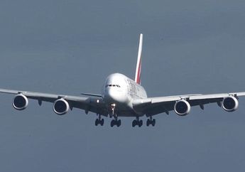 Seorang Penumpang Wanita Mengamuk Hingga Buat Pesawat Terpaksa Mendarat Darurat, Ternyata Penyebabnya...