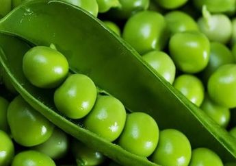 Inilah Beberapa Bahan Alami yang Dipercaya Dapat Kuatkan Kehamilan