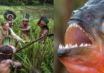 Dari Suku Kanibal Sampai Ikan Mematikan, Inilah 5 Misteri yang Tersembunyi di Hutan Amazon, Nomor 5 Kakinya Banyak dan Segedhe Bola Basket!