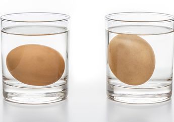 Semudah Ini Langkah Tips Mengetahui Telur Segar atau Sudah Busuk 