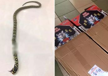 Beli Mainan Online, Ibu Ini Menemukan Fakta Mengejutkan Saat Membuka Paketnya, Kok Bisa Ya?