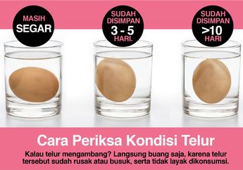 INFOGRAFIS : Tips Mengetahui Telur Segar atau Sudah Busuk