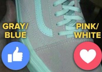 Lagi, Setelah Dress, Netizen Debat Warna Sepatu! Grey Blue Atau Pink White?