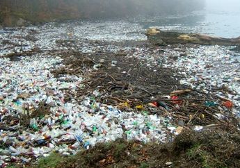 Bukan Sungai di Jakarta, Indonesia Sumbang 1 dari 8 Sungai di Asia yang Bertanggung Jawab Atas 95% Pencemaran Limbah Plastik di Lautan Dunia