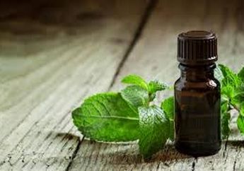 Ingin Merasa Bahagia dengan Instan? Hirup 8 Aroma Ini Saja