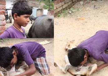 Gawat Sudah Disapih, Anak 10 Tahun Ini Kecanduan Nyusu Anjing! Lihat Videonya