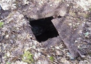 Saat Berjalan ke Hutan, Seorang Pria Temukan Ruangan Rahasia, Dia Membukanya Ternyata Isinya. . .