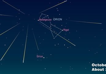 Jangan Lewatkan, Malam Ini Ada Hujan Meteor Orinoid, Make a Wish!