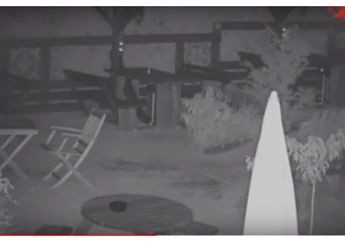 Horor, Bak Kehidupan Alam Lain, Kursi, Gelas, Pintu Di Bar Ini Bergerak Sendiri