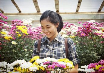 Pengin Jalan-jalan tapi Bokek? Hanya dengan Rp 10 Ribu, Kamu Sudah Bisa Berlibur Sepuasnya di Objek Wisata Cantik ini!